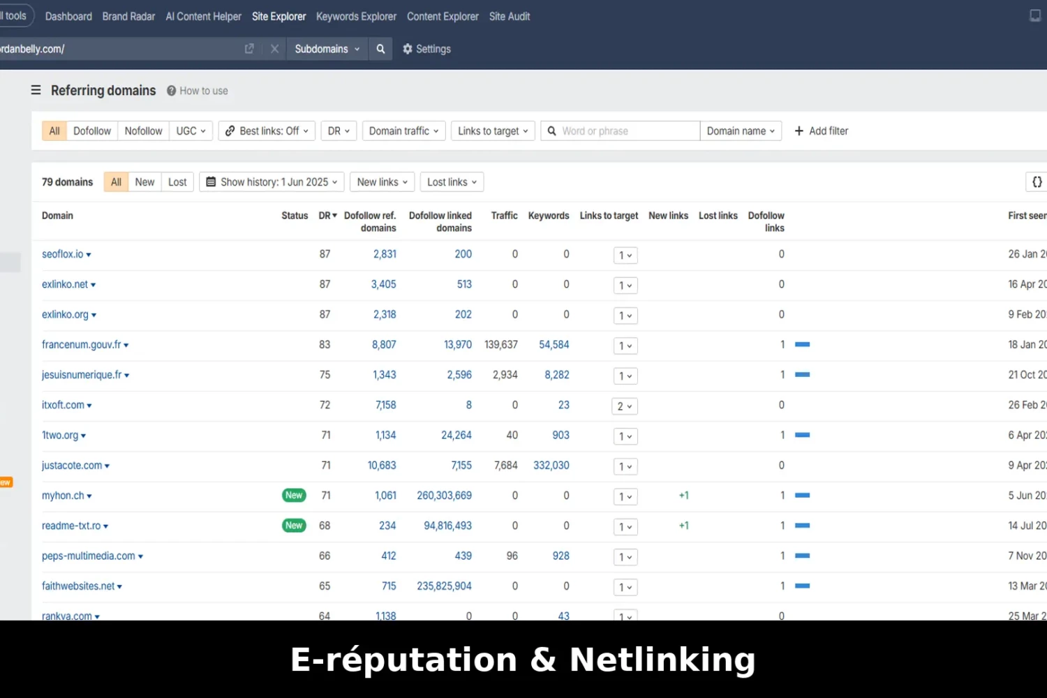 E réputation & netlinking